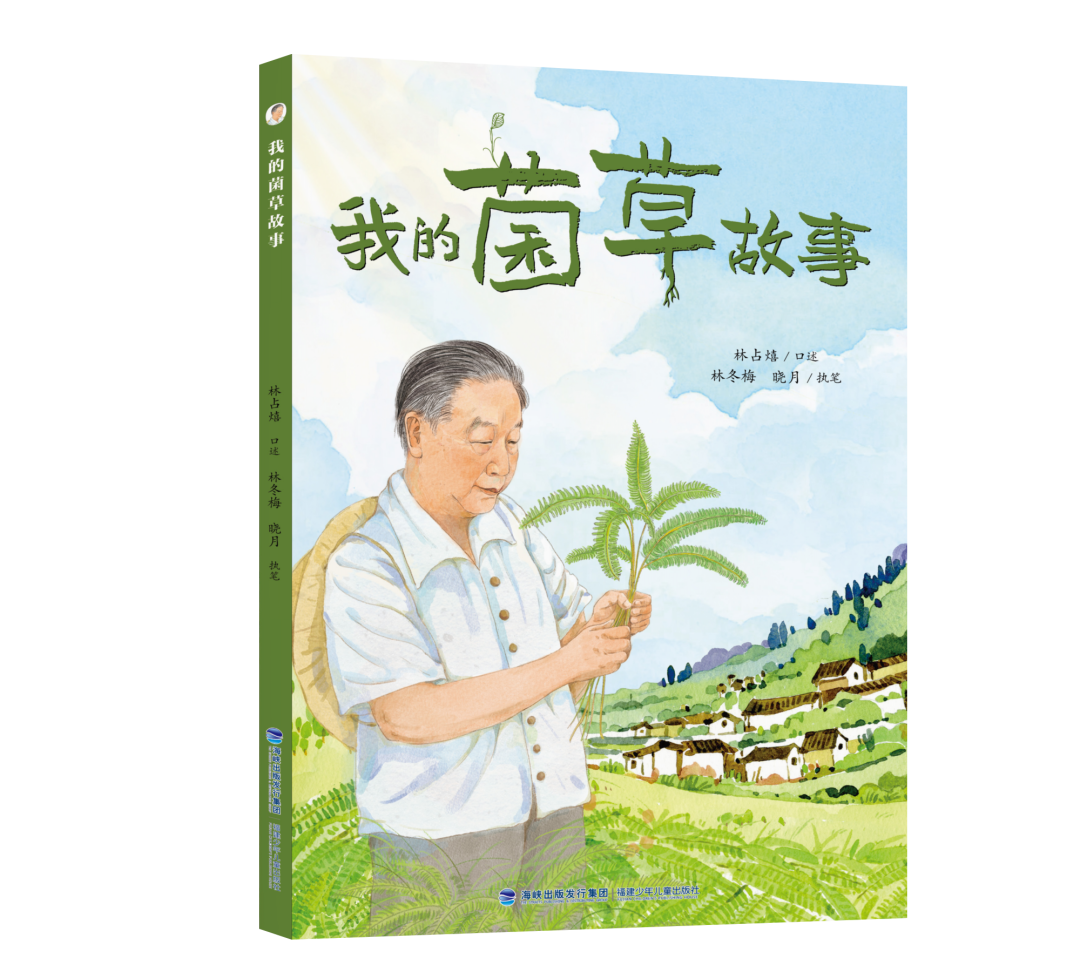 我的菌草故事