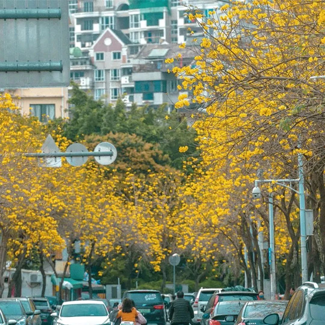 https://img.xiumi.us/xmi/ua/2zOUL/i/a6dd16462d86218a8bc8748f09edb160-sz_257894.jpg