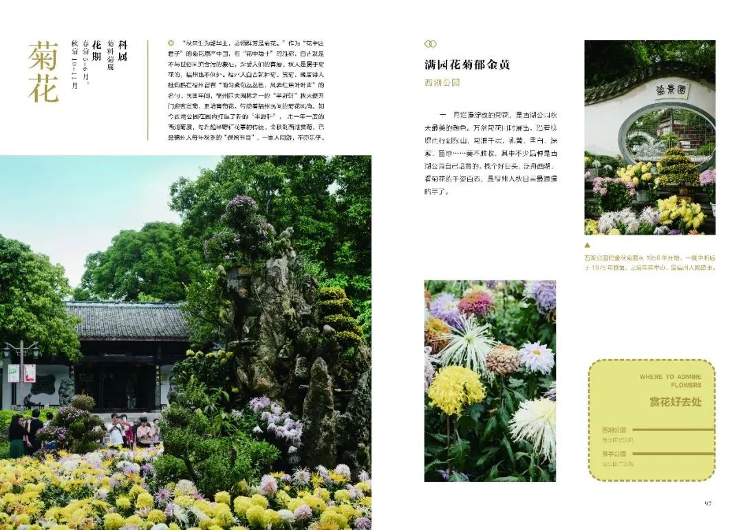 https://img.xiumi.us/xmi/ua/2zOUL/i/e5a5aa403fd27e4e9437af106d5713d2-sz_178551.jpg